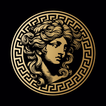 Venusify icône