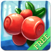 Heroes of Kalevala Free APK