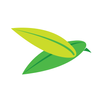The Baya Company APK