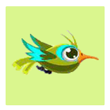 Crazy Birds