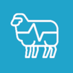 Sheep EAD AR simgesi