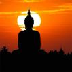 آیکون‌ Tibetan Prayer 2.0