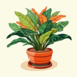 Plant Tycoon - Terrarium 3D