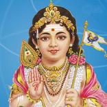 Lord Murugan Wallpaper