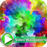 Color Explosion on White Background