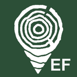 TimberData EF