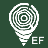 TimberData EF aplikacja
