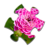 Flower Jigsaw Puzzles APK
