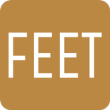 Feet to mm