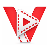 Any Video Downloader & Player