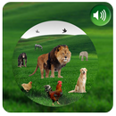 Animals Names APK