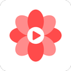 Touch Shorts -Short Drama APK