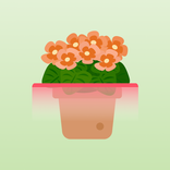 ”Leaf Sense: Plant Care