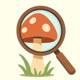 Mushroom Tracker: ID & Map