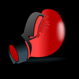 Boxing MMA Timer