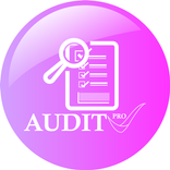 Audit Pro