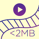 Easy Video Converter