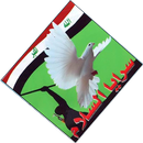 صفكات سرايا السلام : بدون نت APK