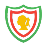 Mahsa VPN