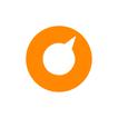 Vetorlog icon