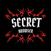 Secret Browser APK