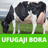 Ufugaji Bora - Jifunze mbinu za ufugaji kitaalamu.