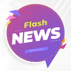 Flash Updates - Short News App APK