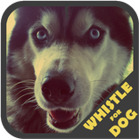 Dog Whistle Trainer