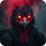 Karkas VPN