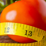 Calorie calculator
