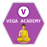 VegaAcademy