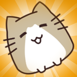 Cats Slide