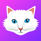 CatChat - Random Video Chat
