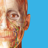 Atlas d'anatomie humaine 2027