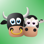 ”Bulls and cows - Mastermind