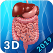 Digestive System آئیکن