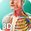 Human Anatomy آئیکن
