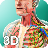 Human Anatomy-APK