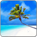 Maldives 3D LWP, True Weather