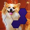 Hex Block Jigsaw Puzzle icon