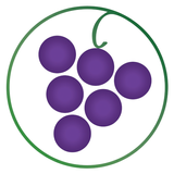 APK Wines Til Sold Out  (WTSO)
