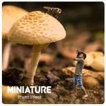 미니 틸트 카메라 시프트 틸트 효과