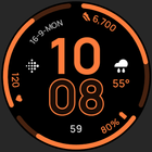 Fit TWO icon