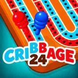Cribbage 24