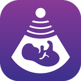 دليل حملي APK