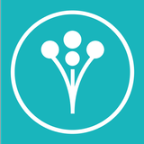 Wedding Planner by WeddingWire aplikacja