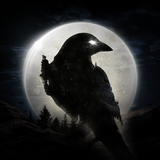 Night Crows APK