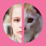TwinFACE: cat face changer