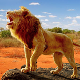 The Lion