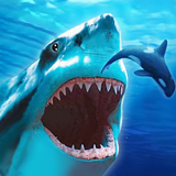 The Shark APK